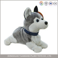 Jouet en peluche mignon en peluche Husky Dog Husky Sibérien